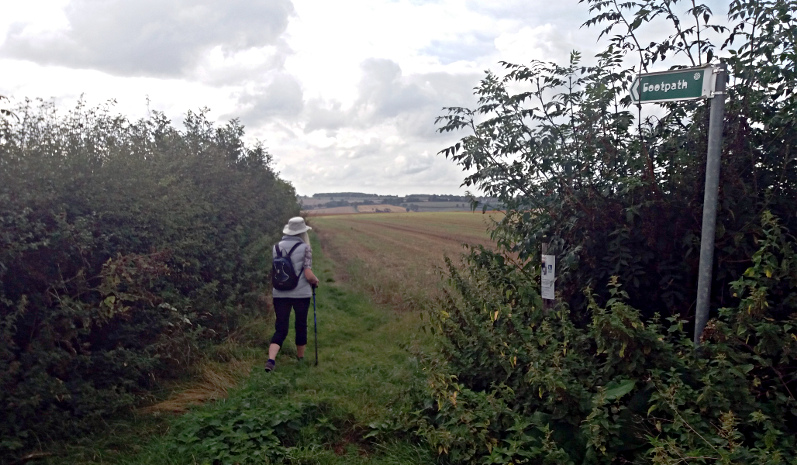 Waypoint 2a